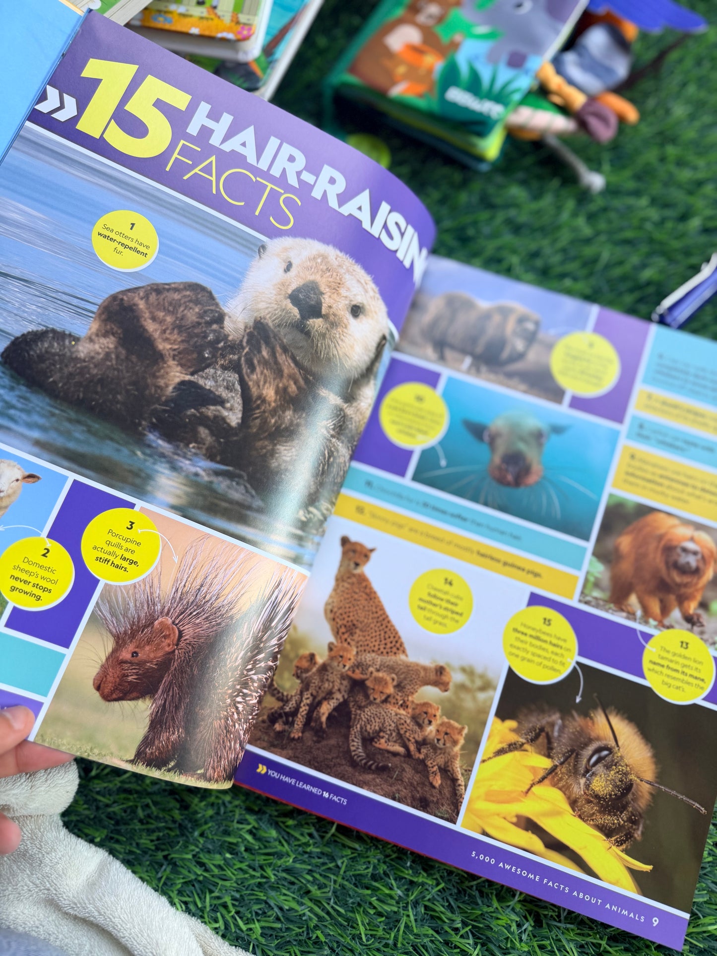 5,000 Awesome Facts About Animals | National Geographic Kids