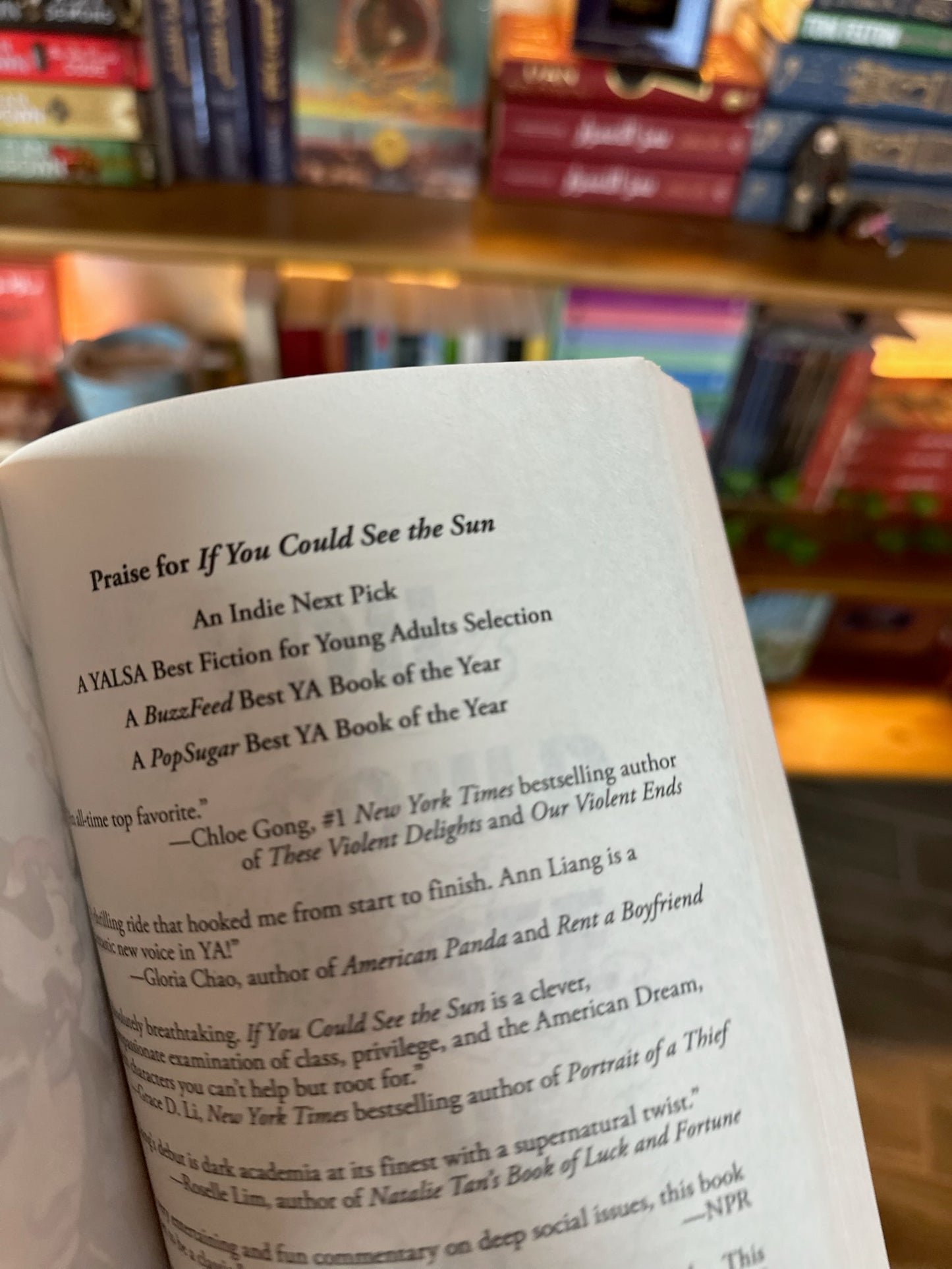 If You Could See the Sun: A Compelling YA Fantasy of Academic Rivals and Secret Powers
 | Ann Liang