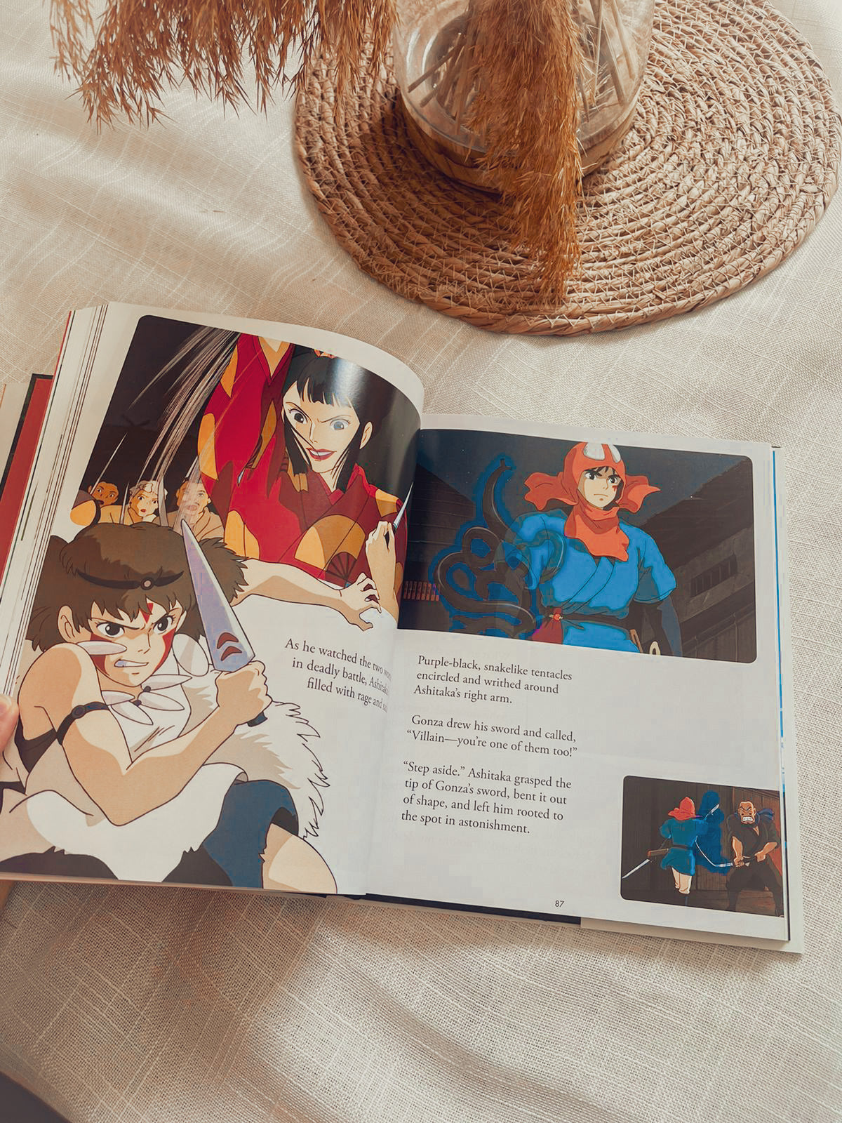 Princess Mononoke Graphic Book