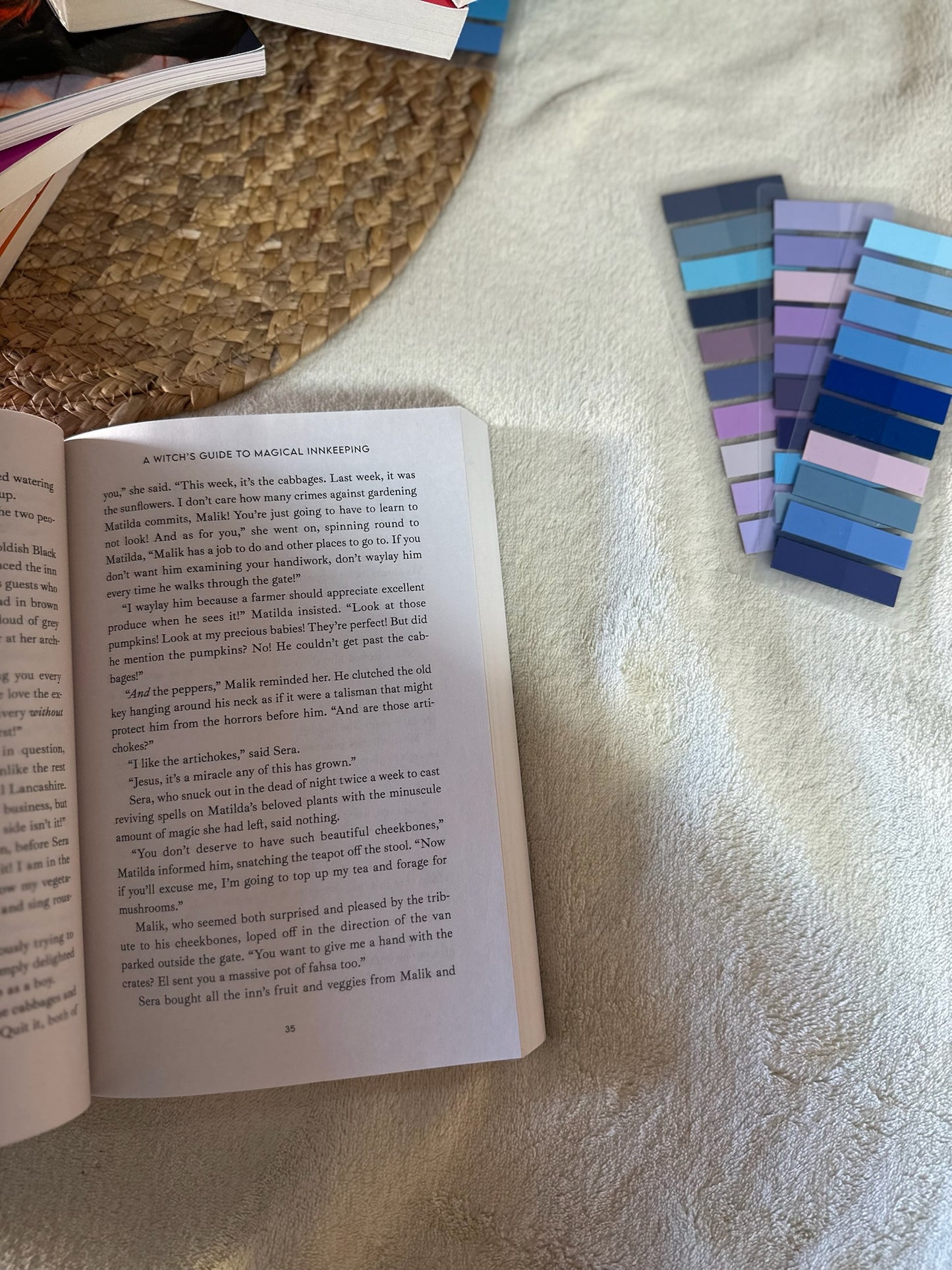 A Witch's Guide to Magical Innkeeping
