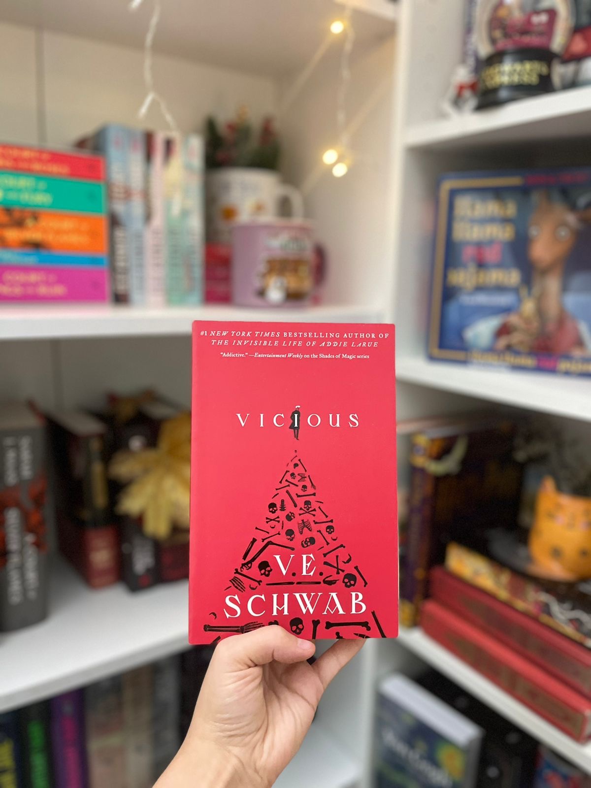 Villains Duology Boxed Set: Vicious, Vengeful