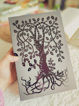 The Cruel Prince Collector’s Edition
