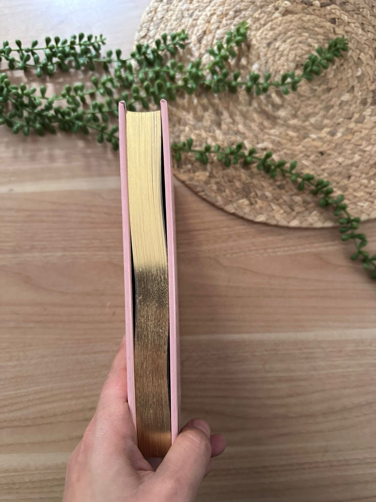 Heidi (Leatherbound Classics)