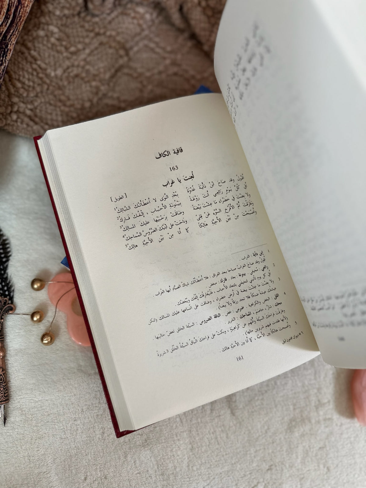 ديوان مجنون ليلى (قيس بن الملوح) | طبعة فخمة مزودة بالرسومات ، دار صادر