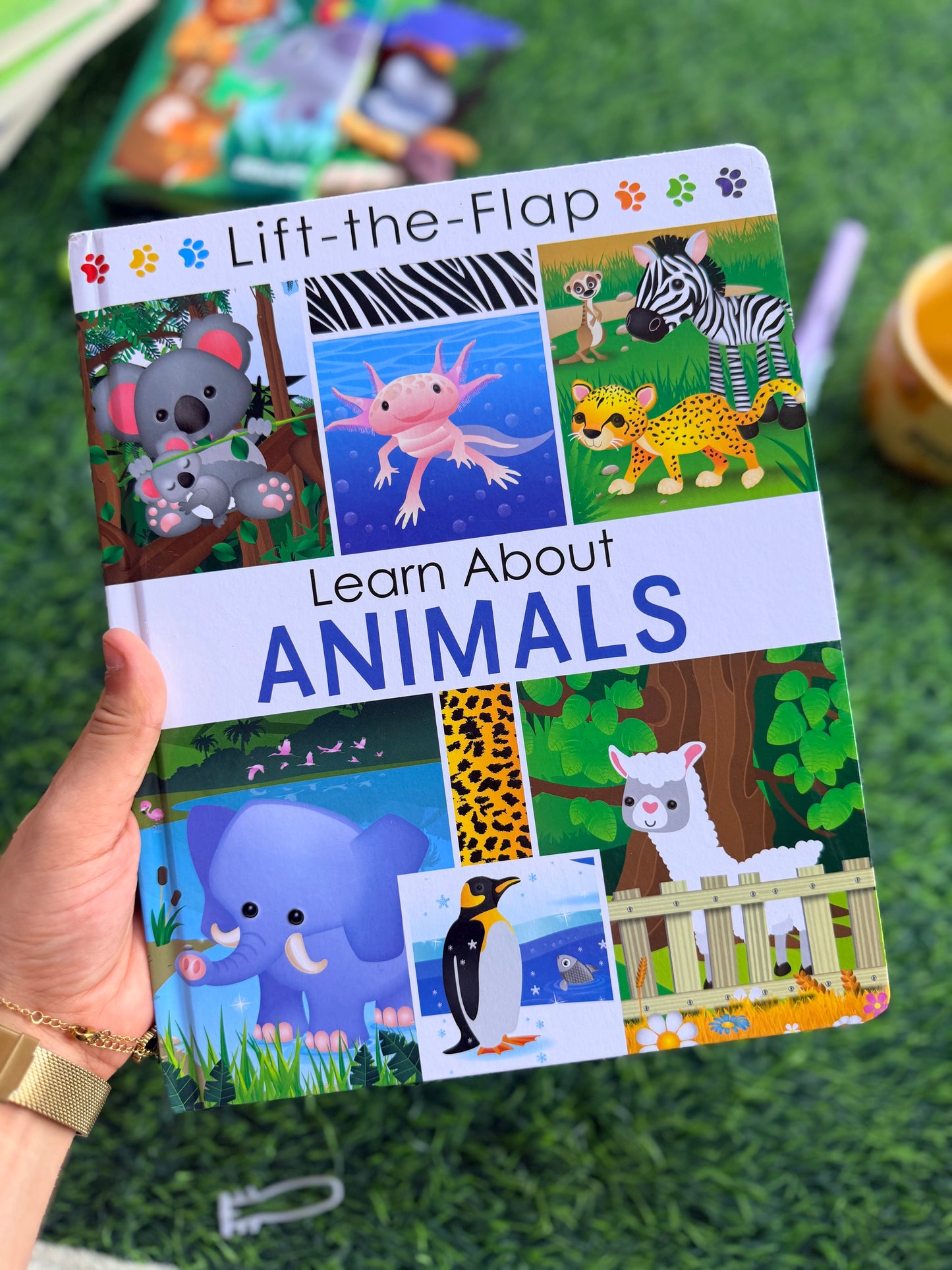 Learn About Animals - Lift the Flap Activity Kids Books - Childrens Books, Toddler Books