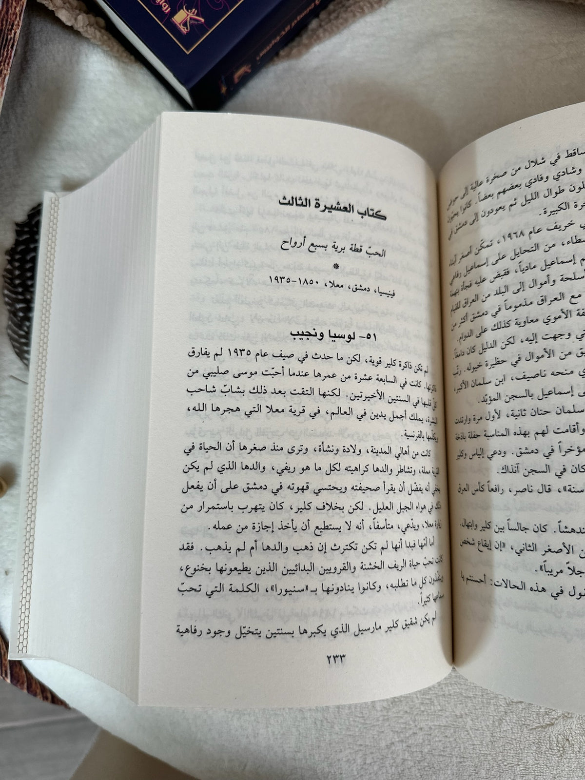 الجانب المظلم للحب ؛ رفيق شامي