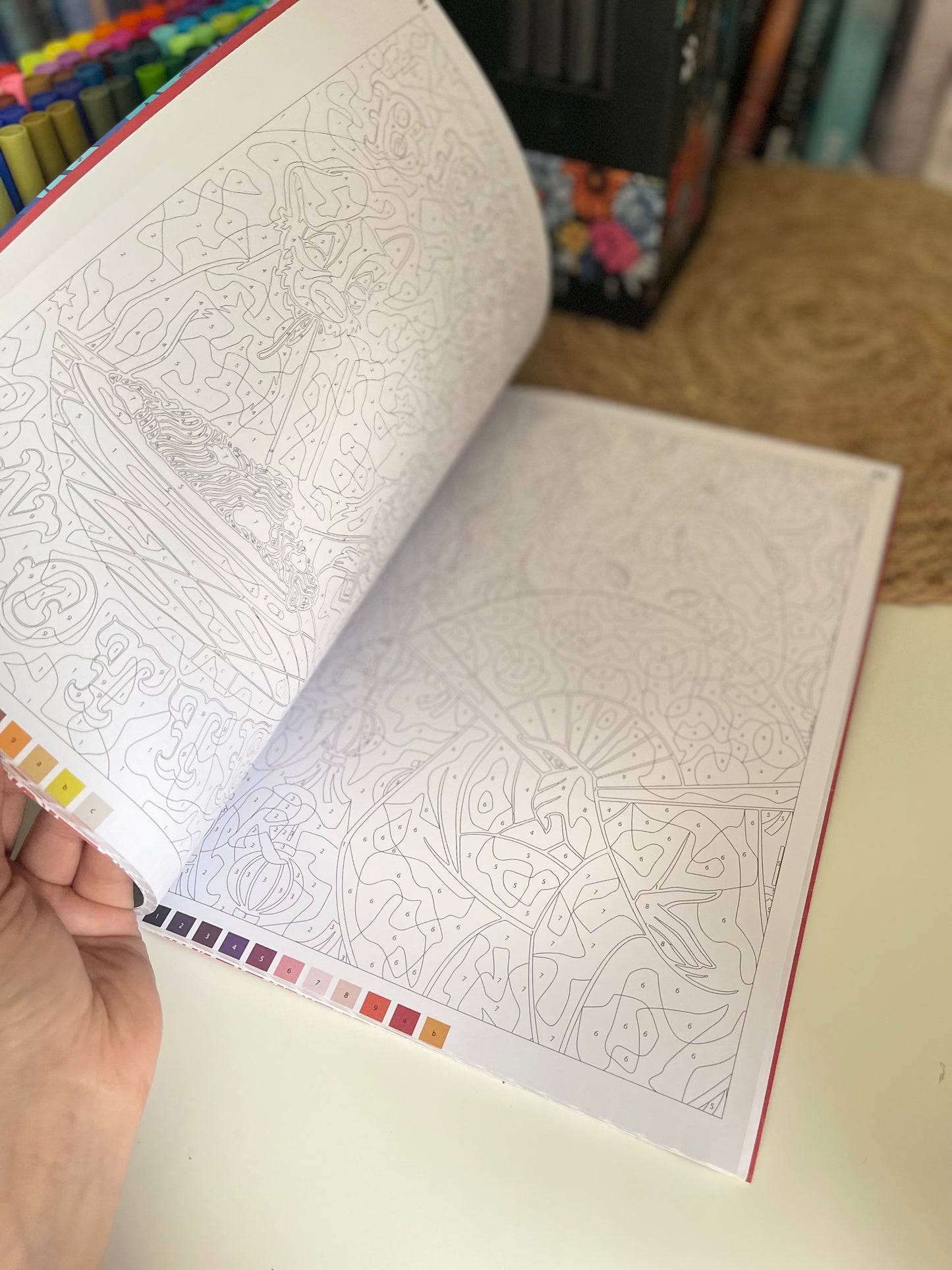 Disney Mystery Coloring Book