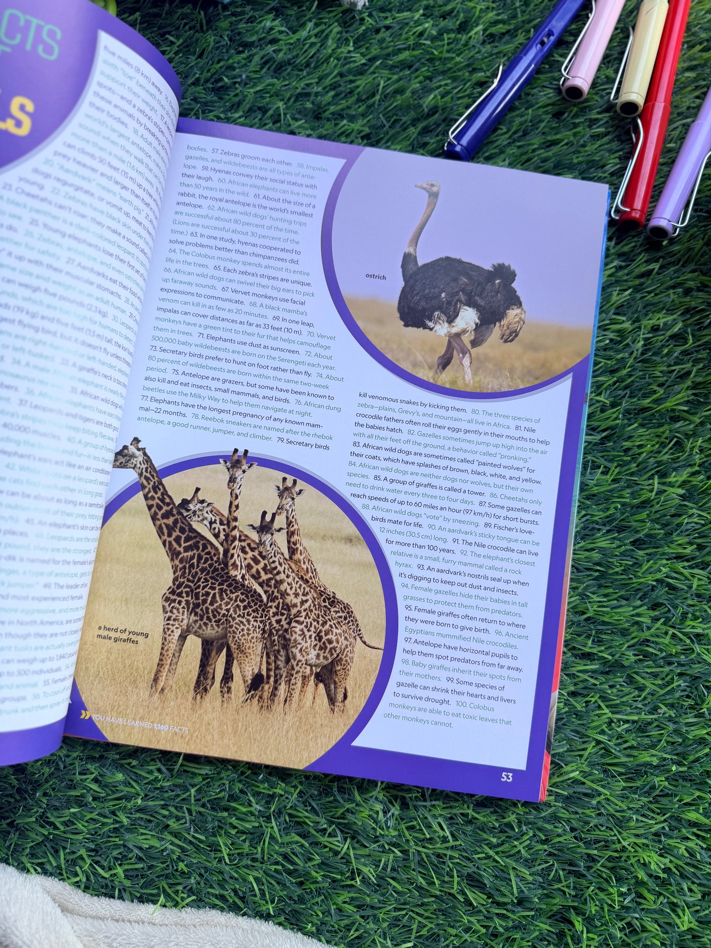 5,000 Awesome Facts About Animals | National Geographic Kids