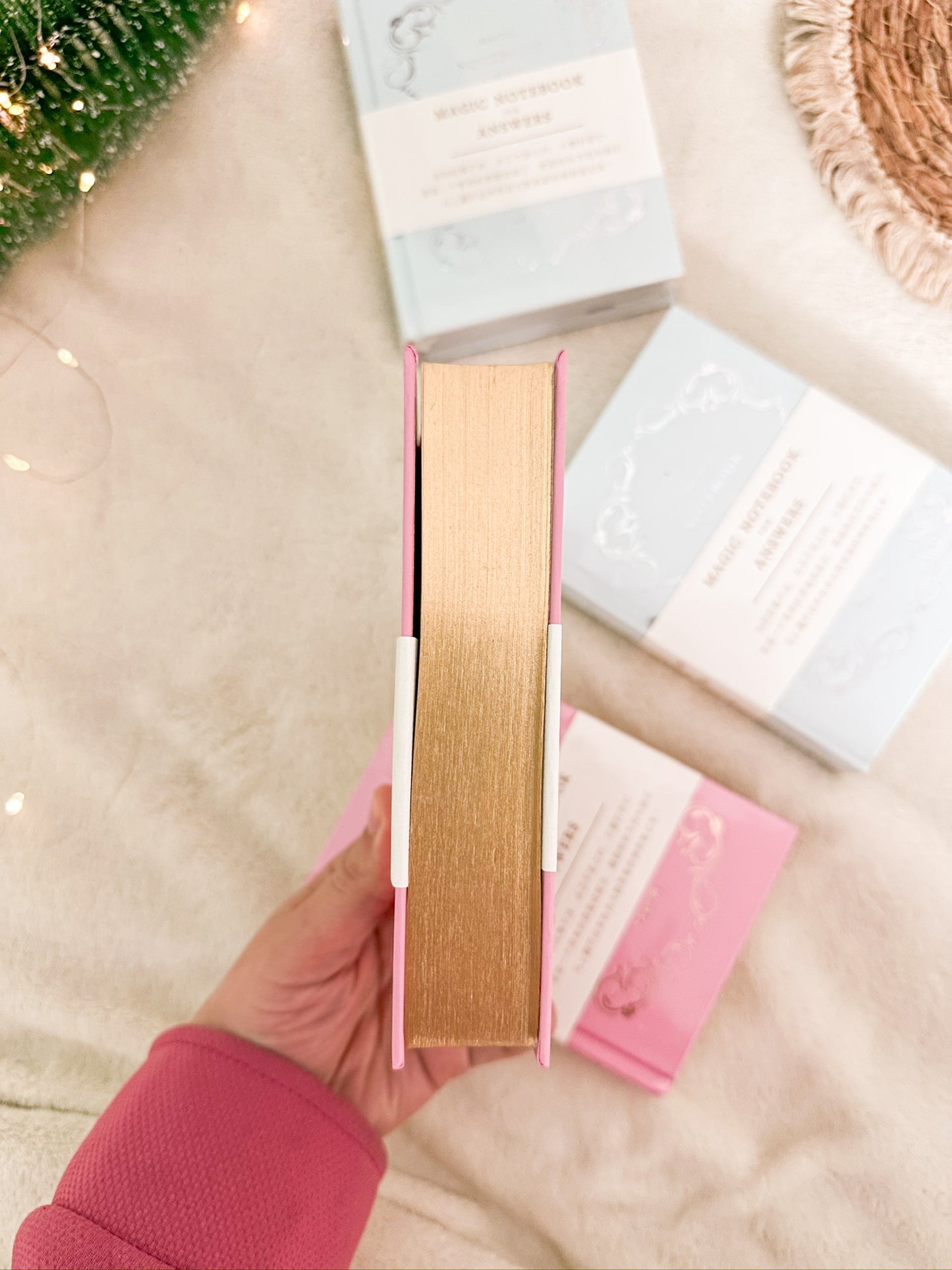 Hardcover The Magic Notebook