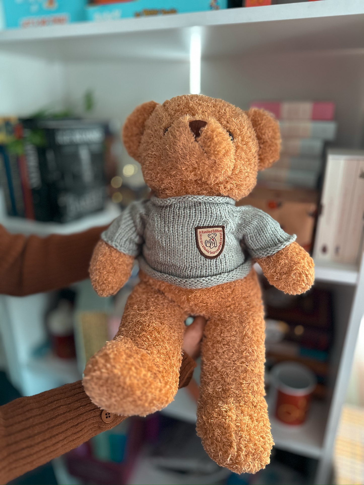 Teddy Bear Plush Toy with Tshirt size medium