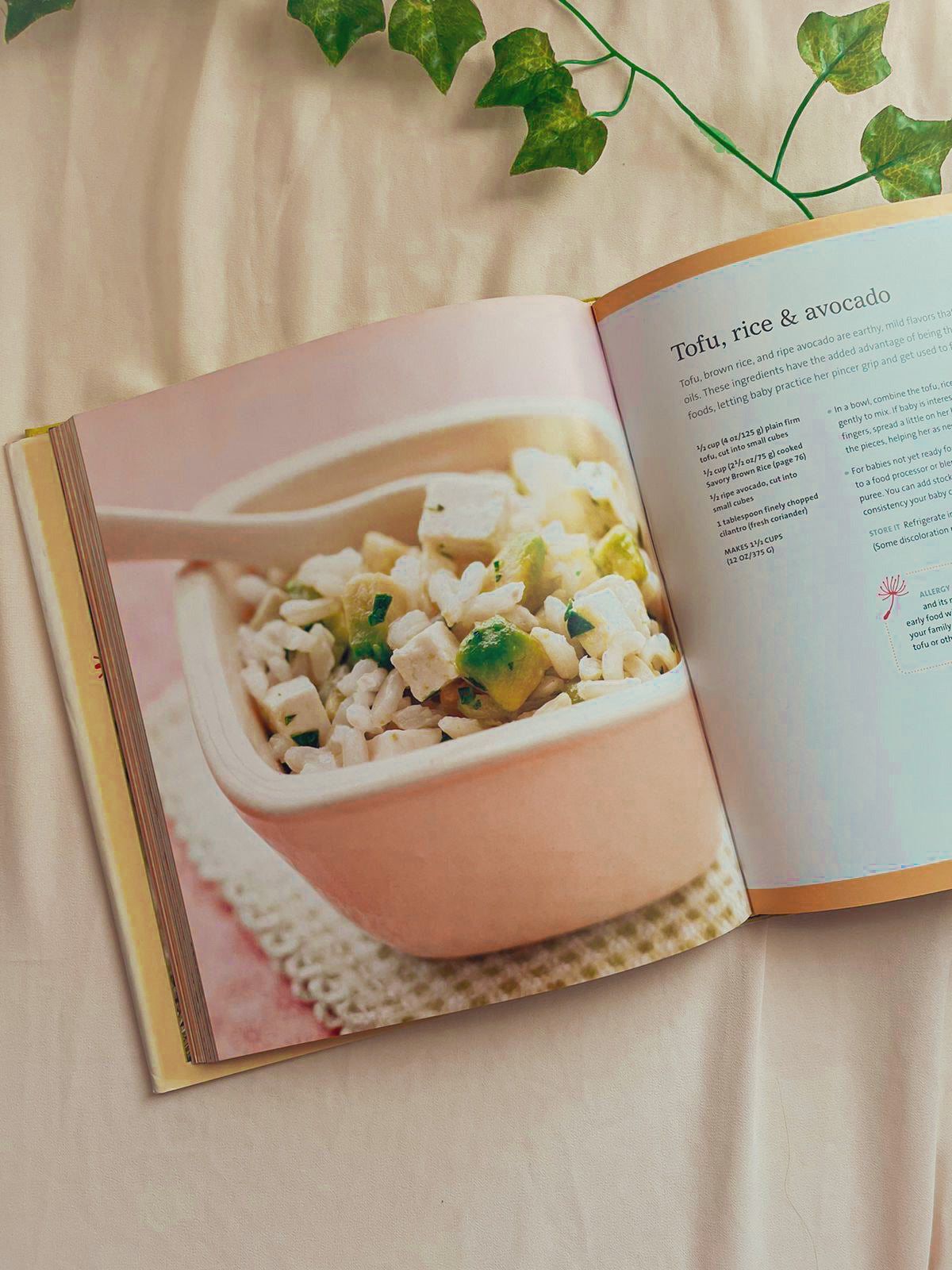 Baby & Toddler Cookbook