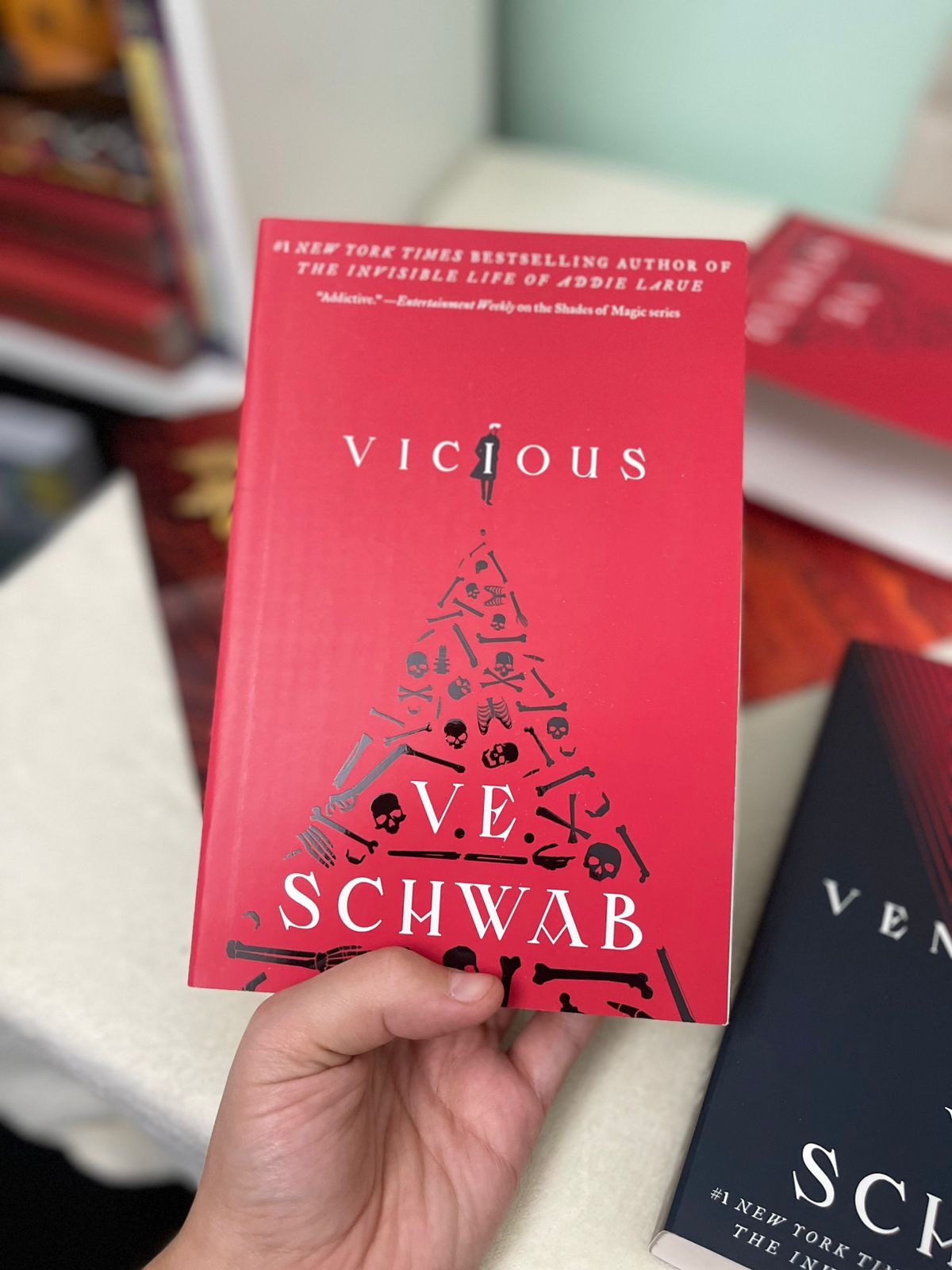 Villains Duology Boxed Set: Vicious, Vengeful