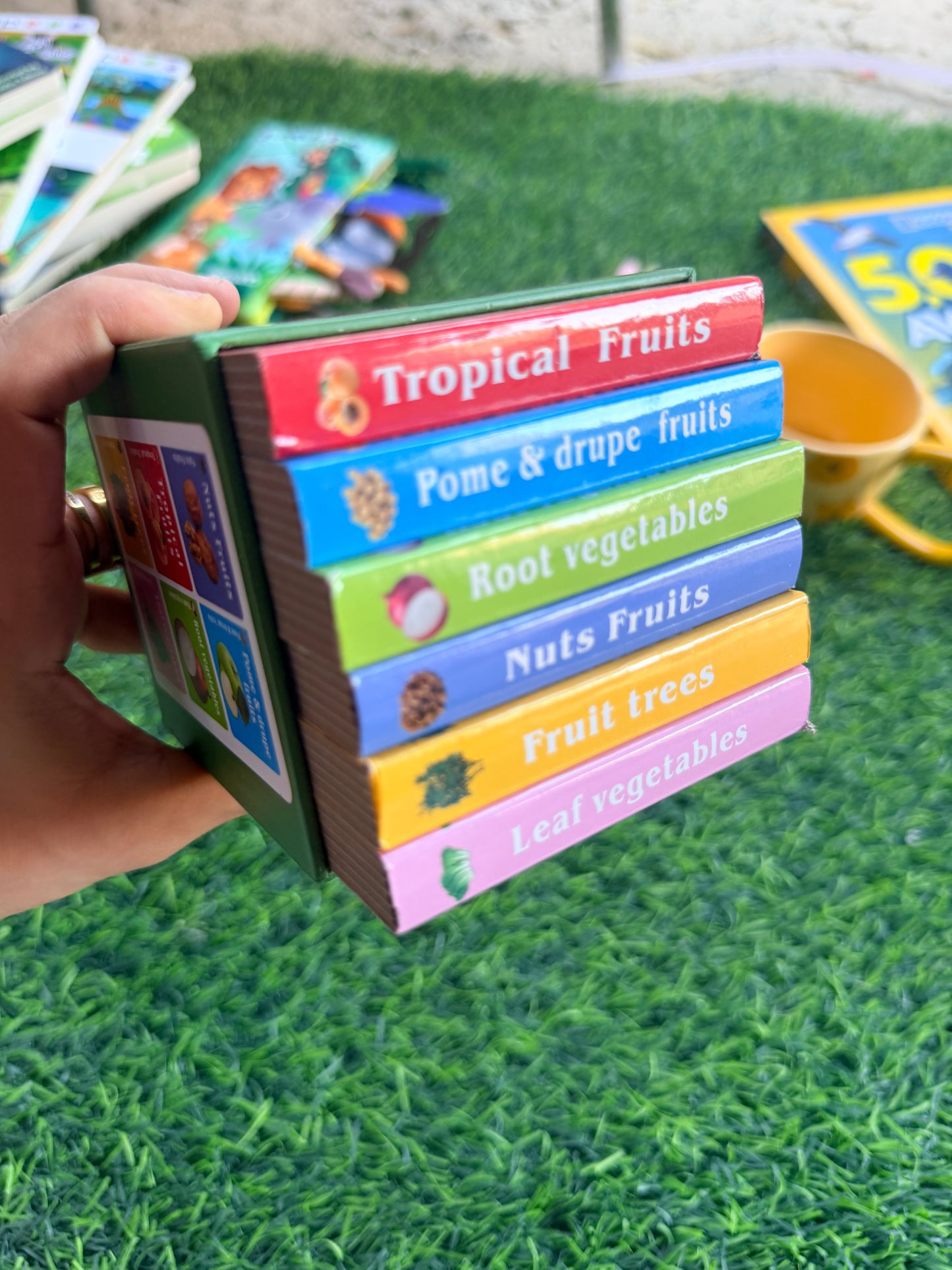 My learning Food Library , 6 Books set