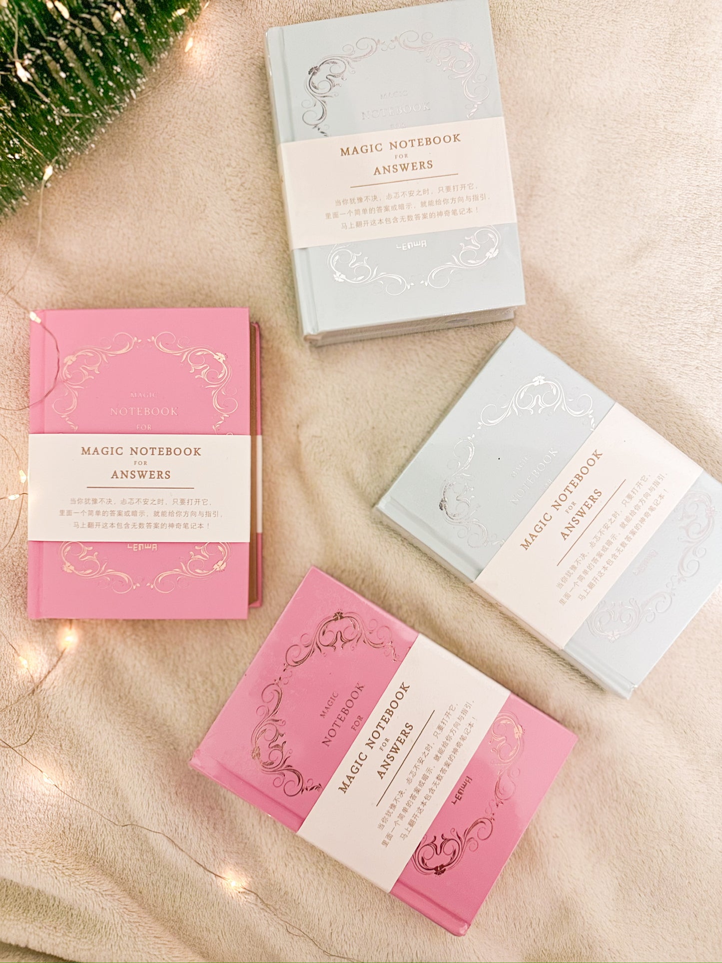 Hardcover The Magic Notebook