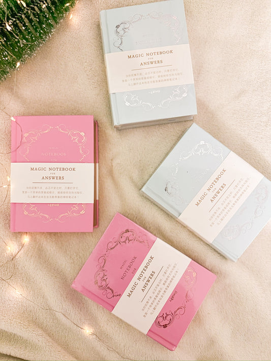 Hardcover The Magic Notebook