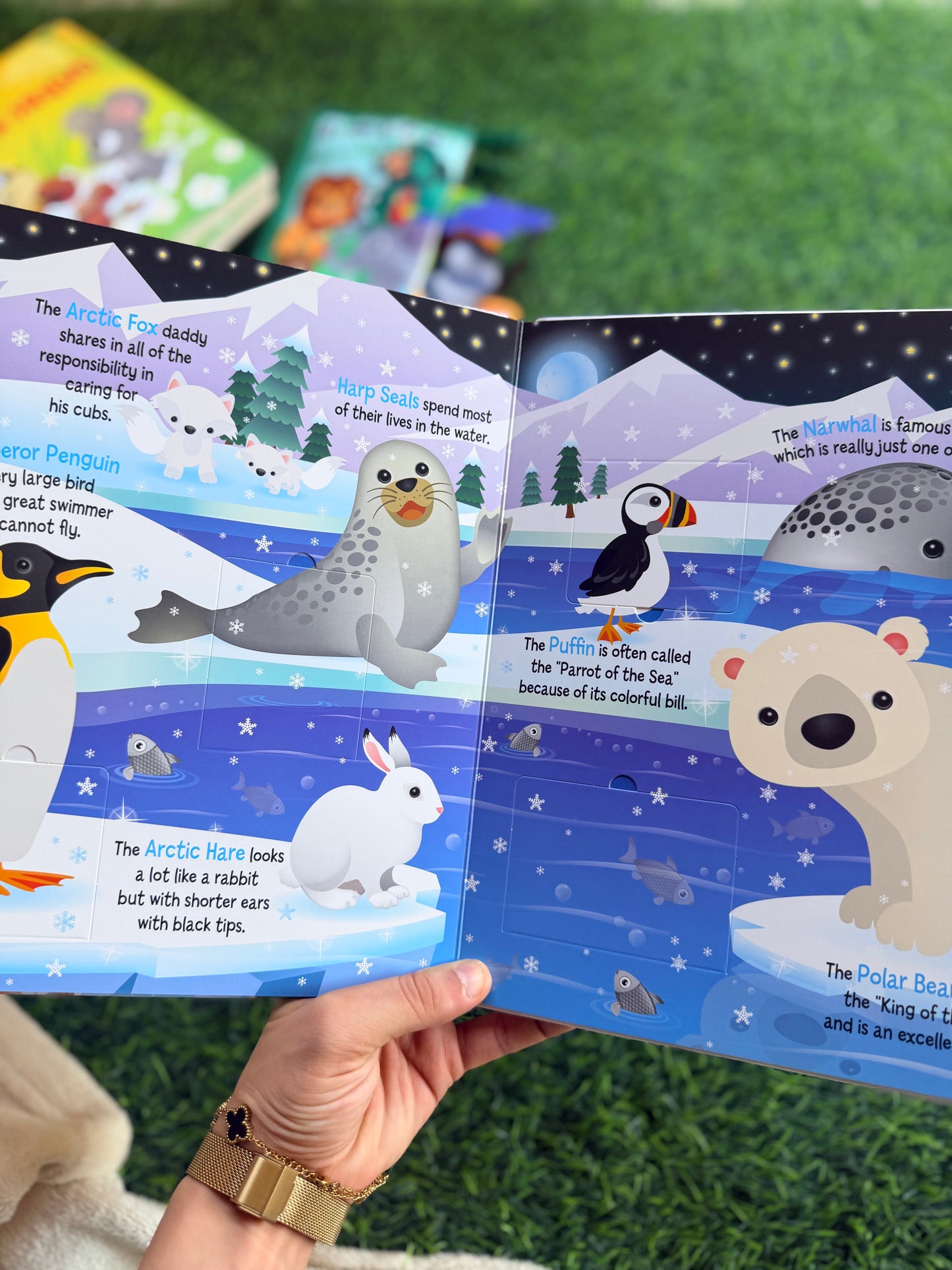 Learn About Animals - Lift the Flap Activity Kids Books - Childrens Books, Toddler Books