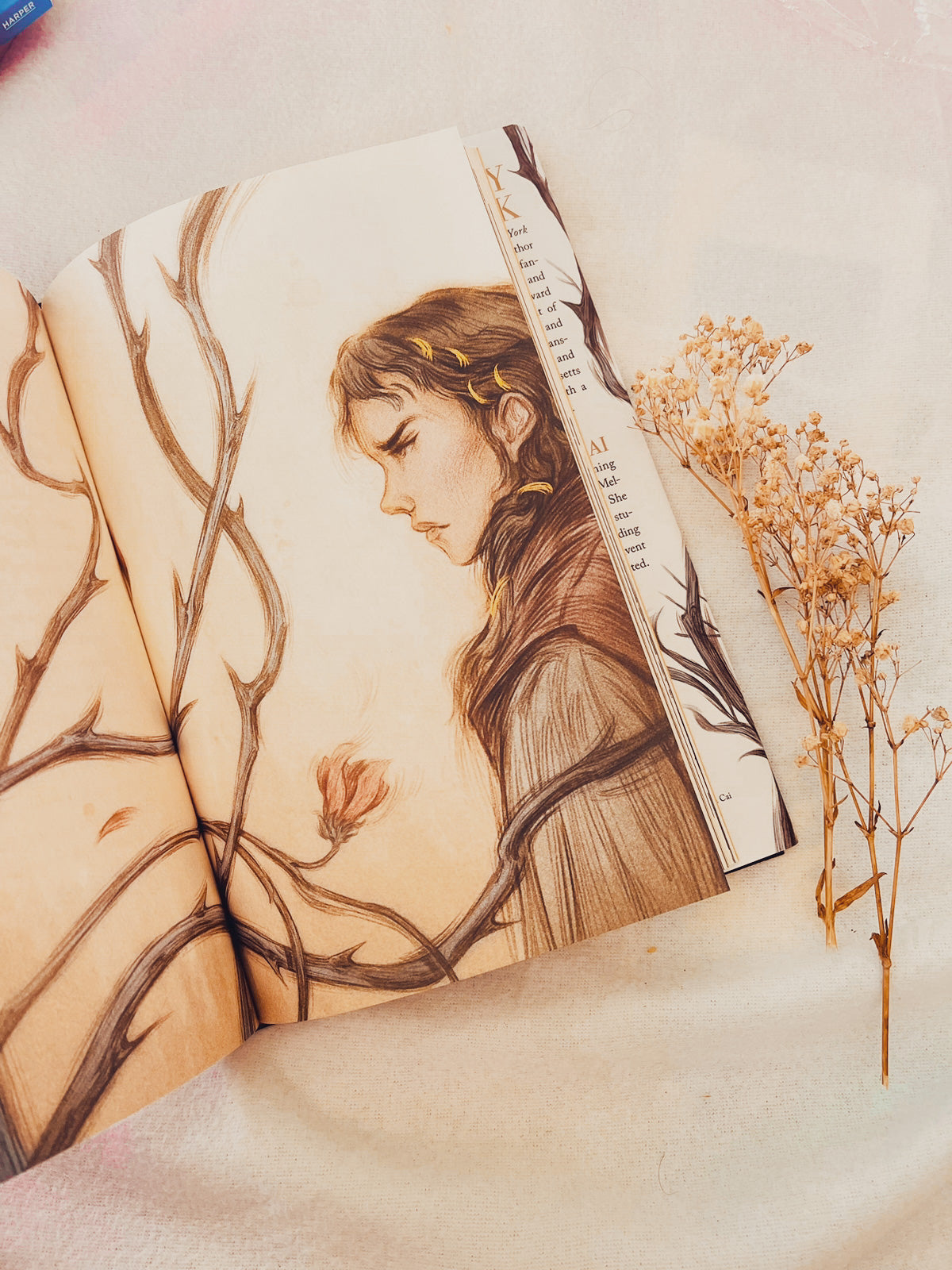 How the King of Elfhame Learned to Hate Stories (The Folk of the Air)