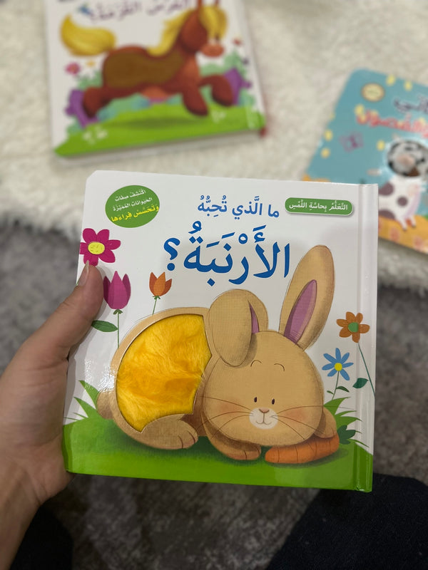 ما الذي تحبه الارنبة | التعلم بحاسة اللمس