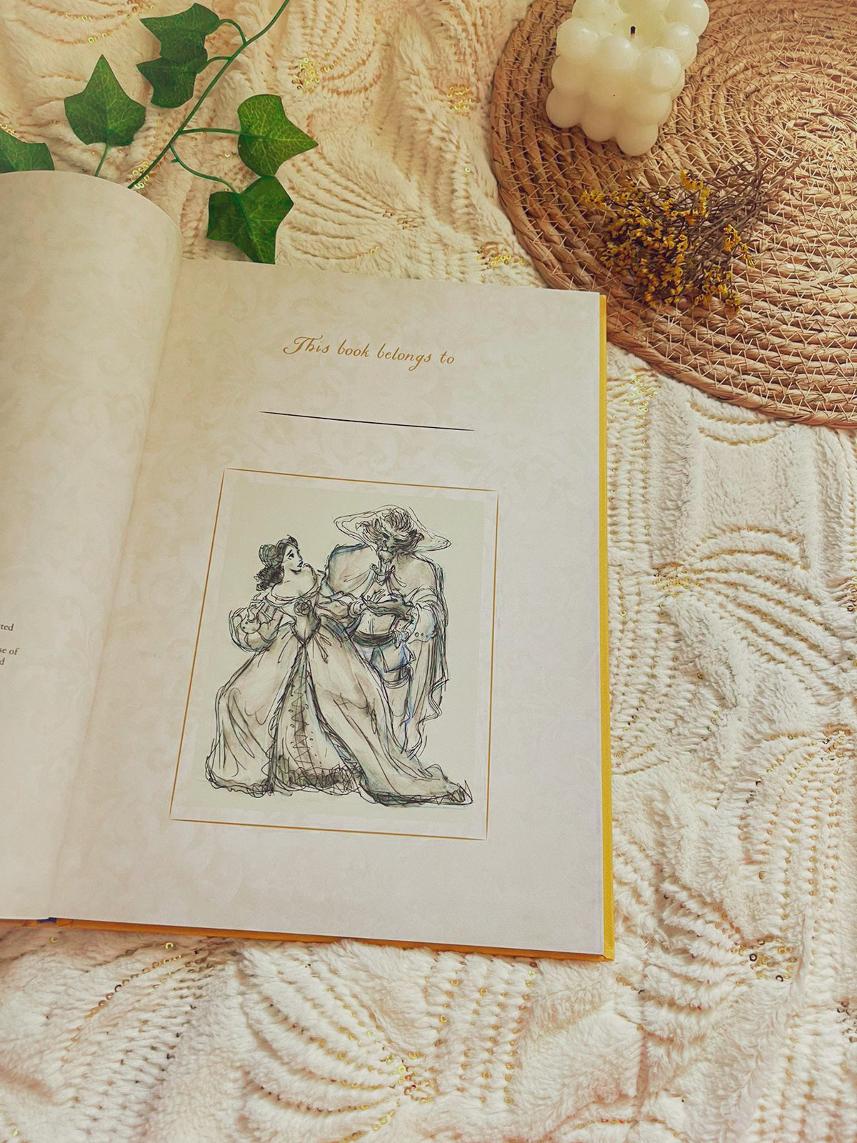 Beauty and the Beast (Hardcover)