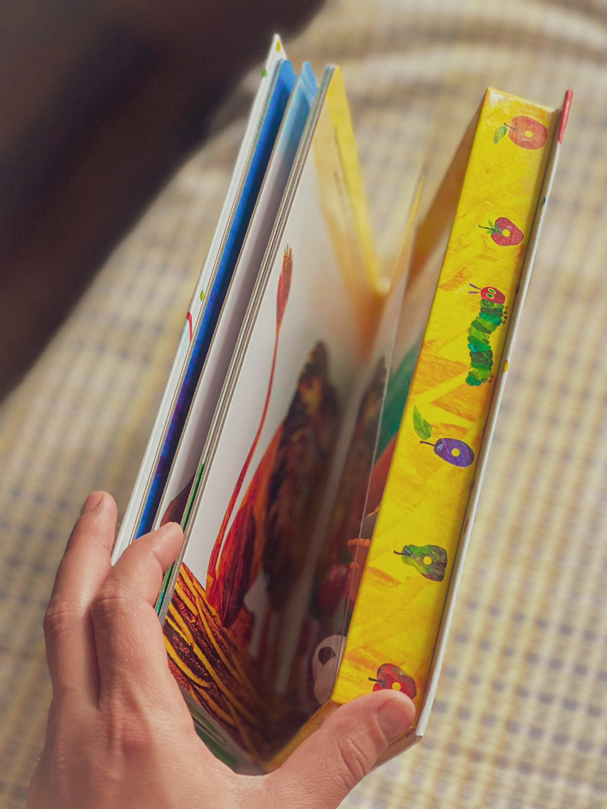 Eric Carle | Busy Book