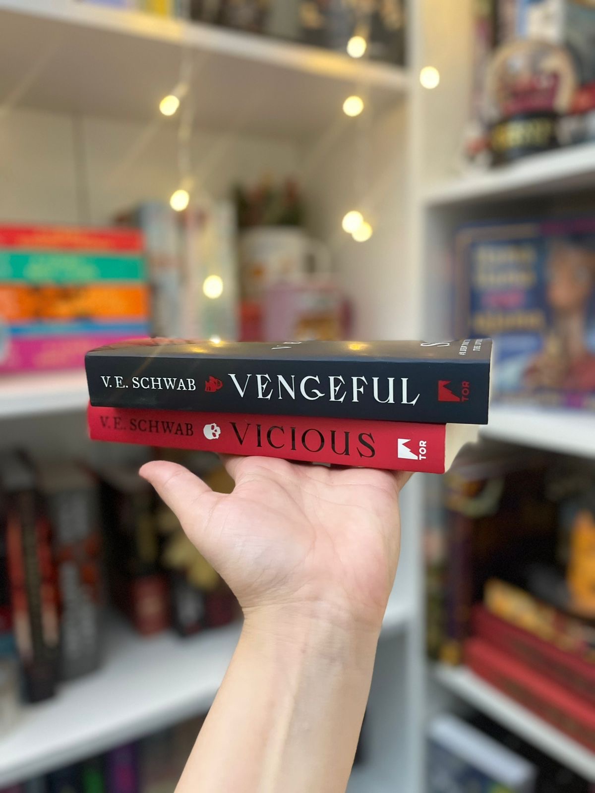 Villains Duology Boxed Set: Vicious, Vengeful