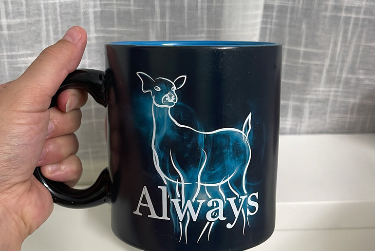 Always Changing Heat Mug