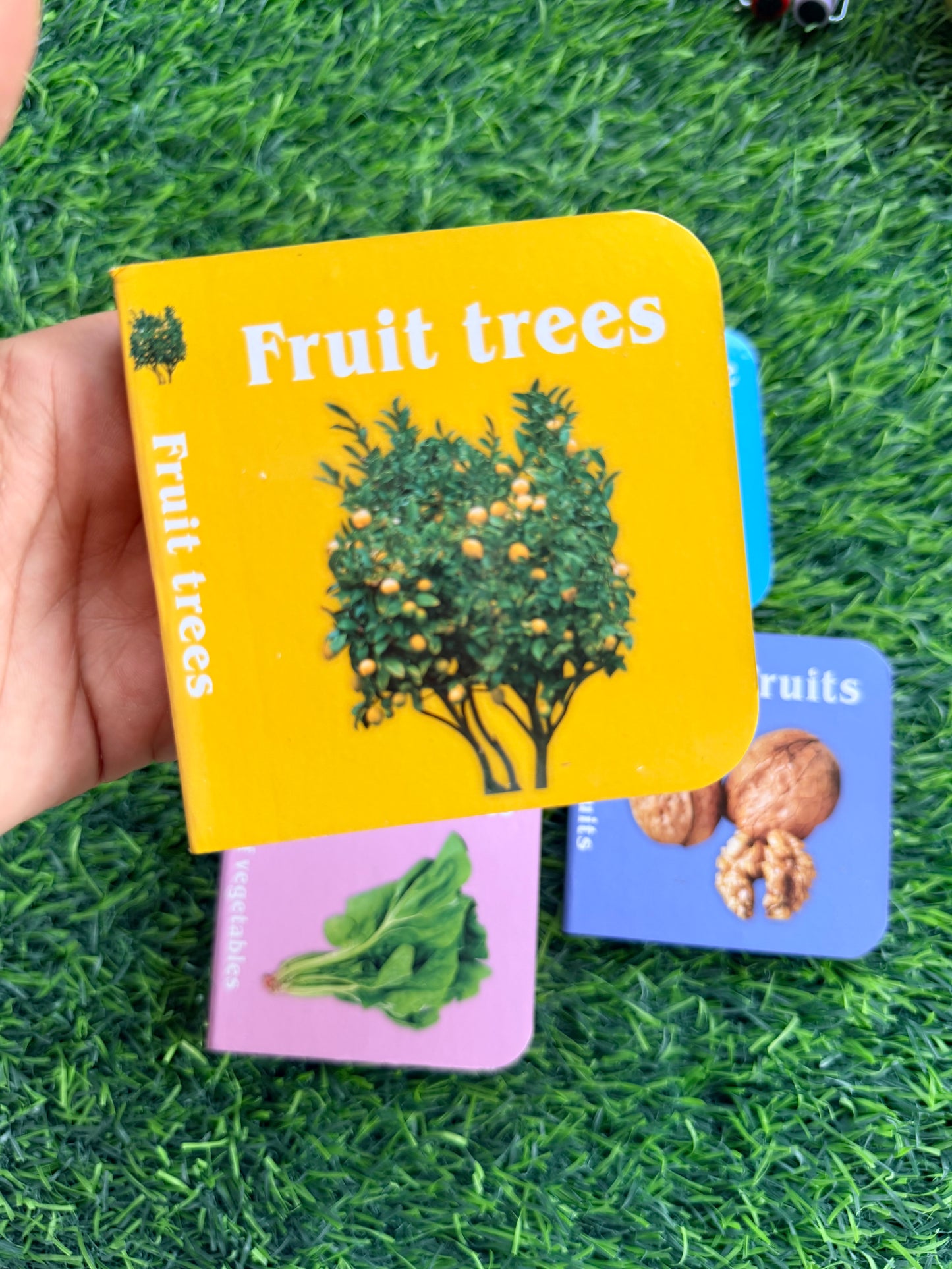 My learning Food Library , 6 Books set