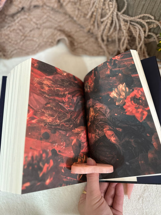 يومي ورسام الكوابيس ؛ براندون ساندرسون ( Hardcover )