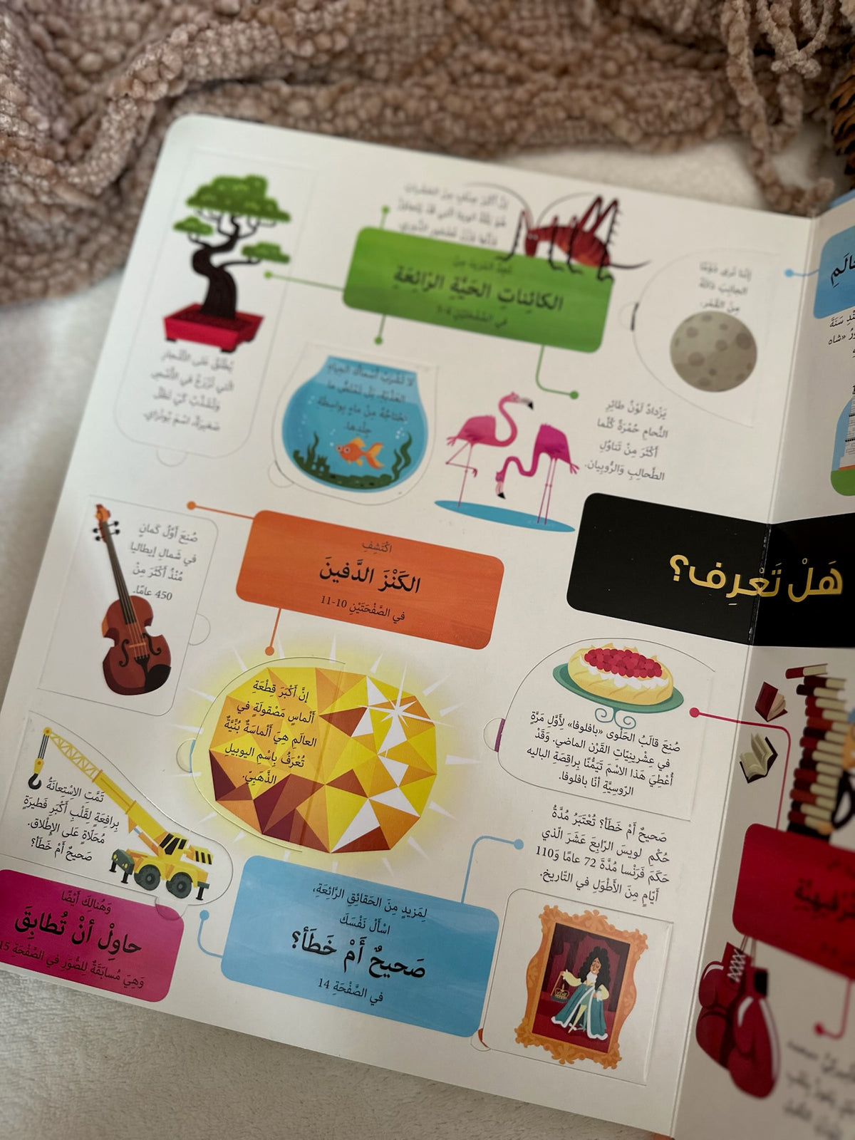 نافذة على معلومات عامة - كتاب تفاعلي اكتشف الطيّات