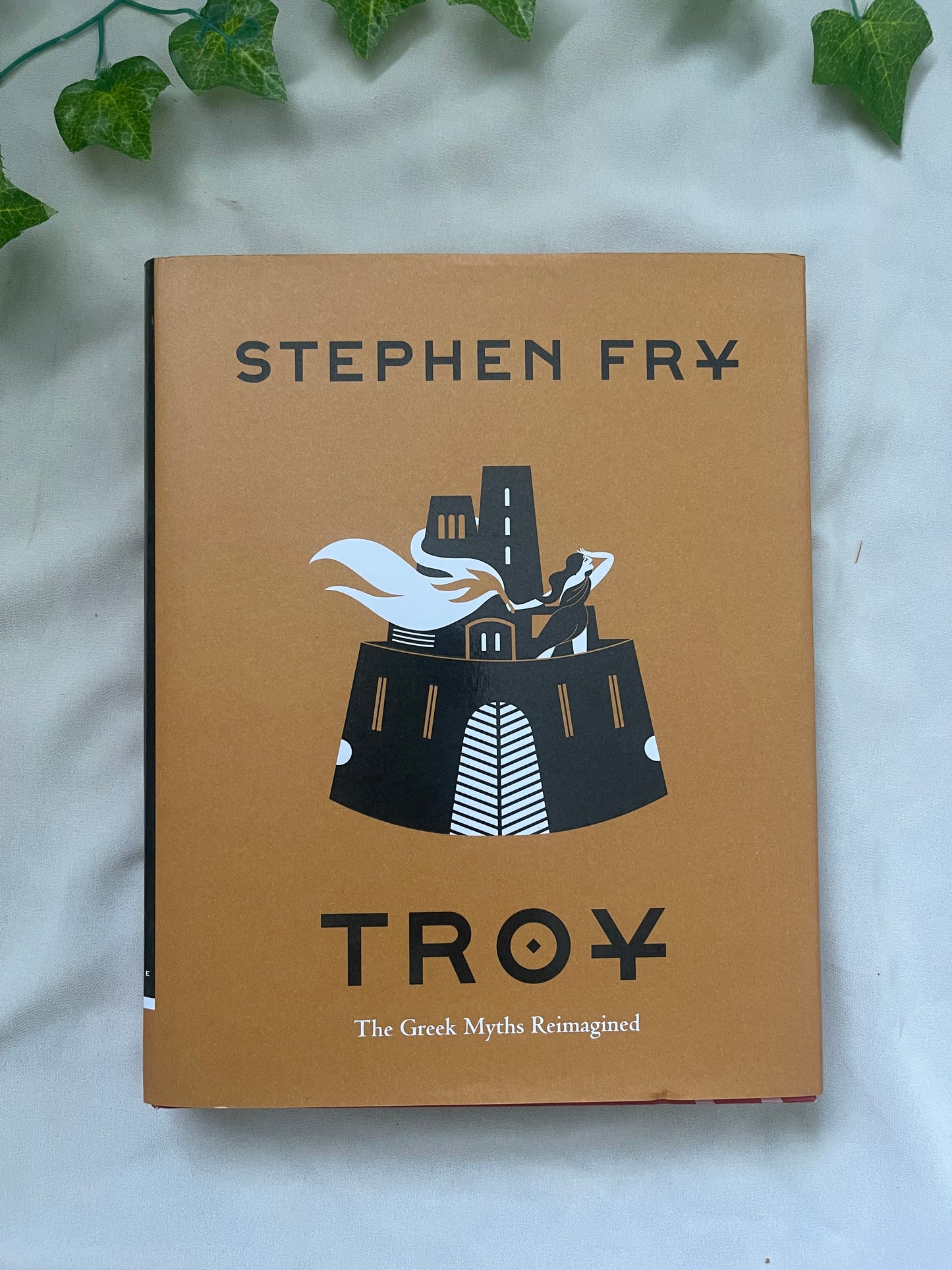 Troy-Stephen Fry | Hardcover