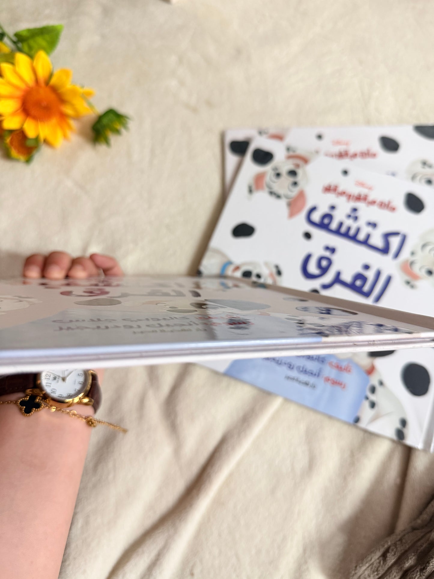 ديزني مائة مرقش ومرقش - اكتشف الفرق