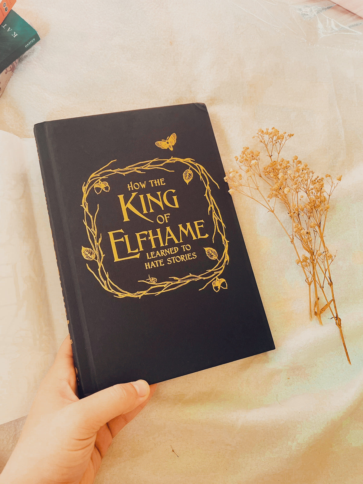 How the King of Elfhame Learned to Hate Stories (The Folk of the Air)