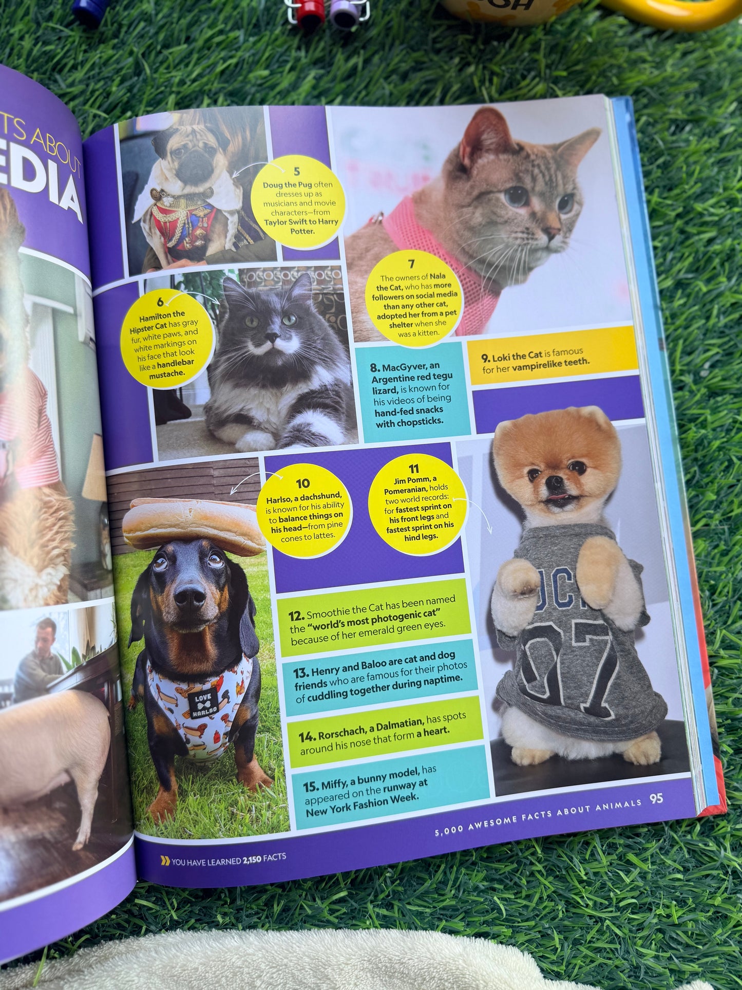 5,000 Awesome Facts About Animals | National Geographic Kids