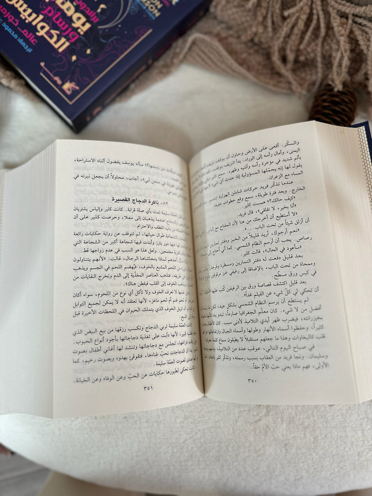 الجانب المظلم للحب ؛ رفيق شامي