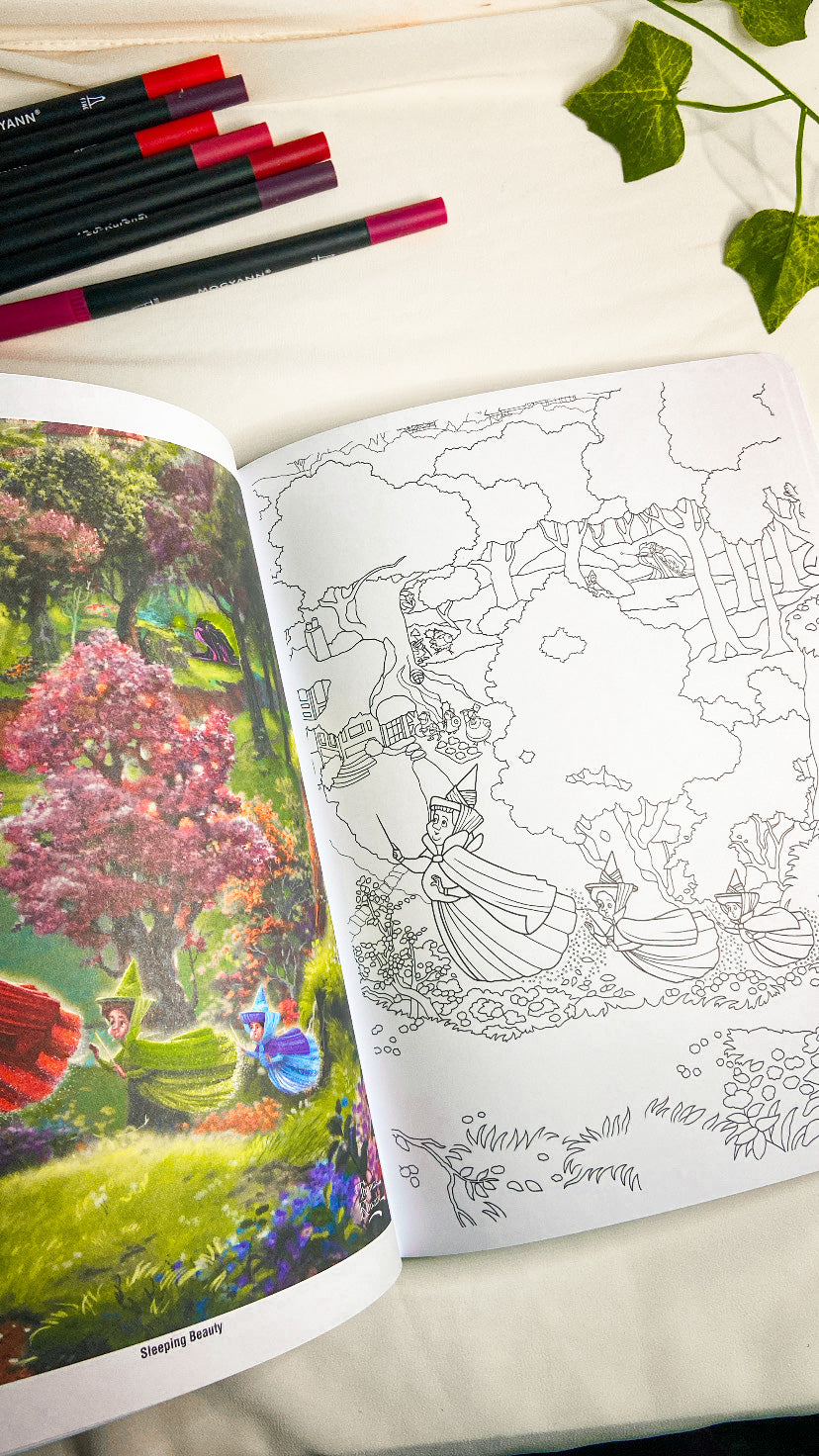 Disney Princess Coloring Book