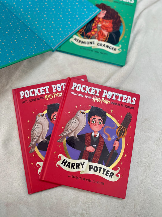 Pocket Potters: Harry Potter (Little Guides to the Harry Potter Books #1)