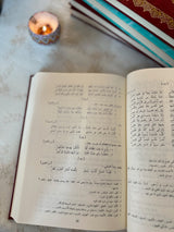 ديوان المتنبي - طبعة فخمة مزودة بالرسومات | دار صادر