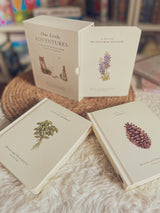Our Little Adventures: Stories Featuring Foundational Language Concepts for Growing Minds (Our Little Adventures Series)