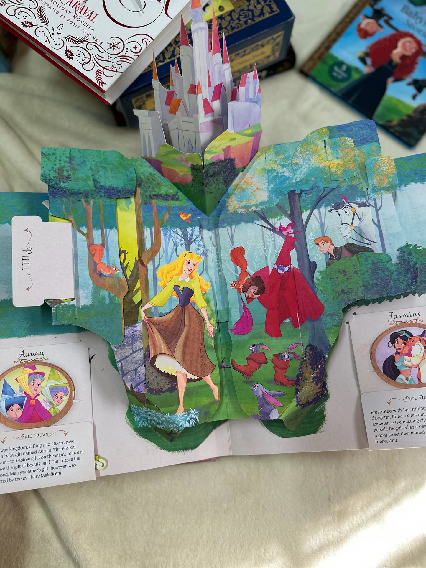 Disney Princess: A Magical Pop-Up World
