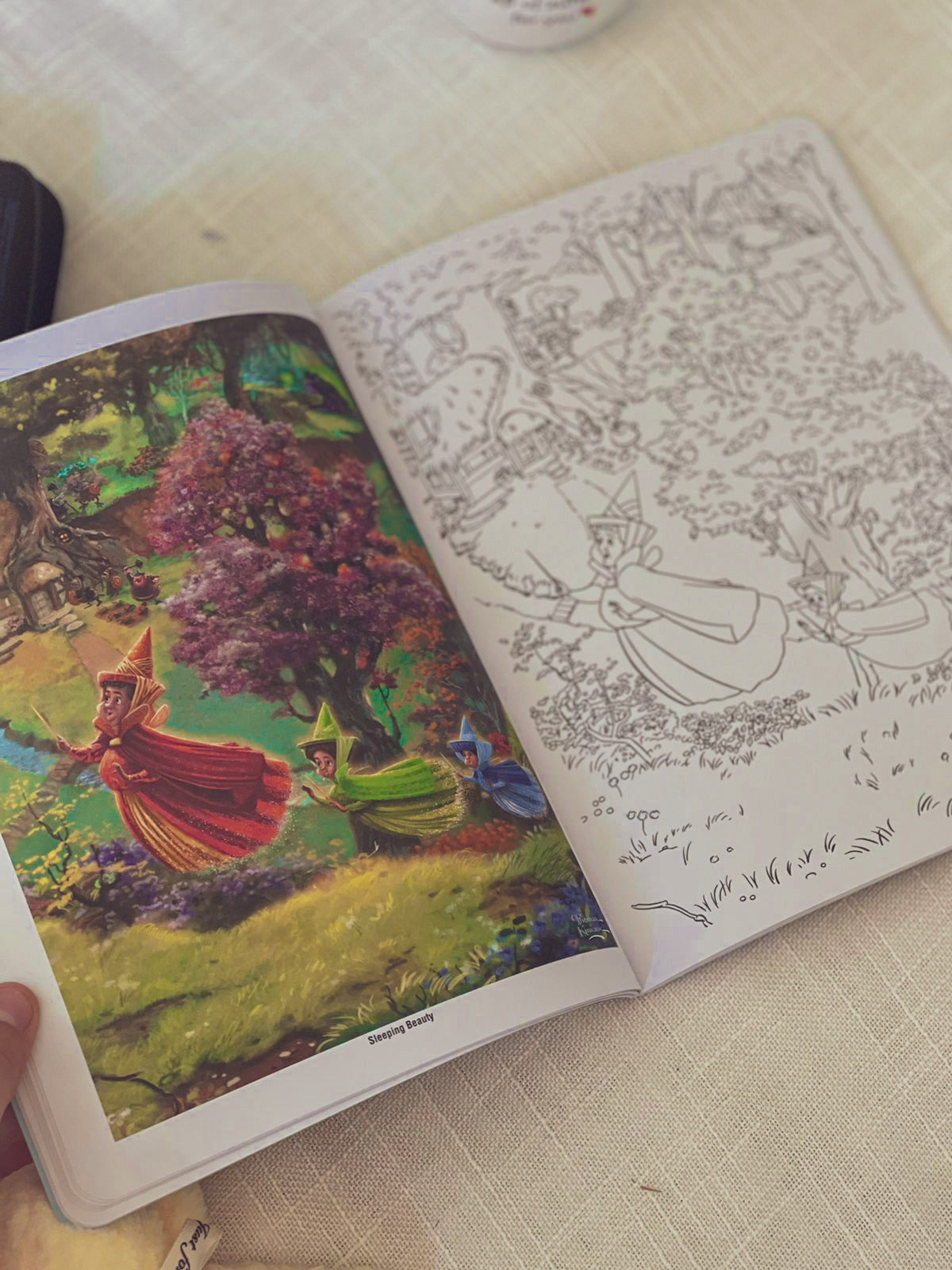 Disney Dreams Coloring Book