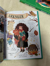 Pocket Potters: Hermione Granger (Little Guides to the Harry Potter Books #2)