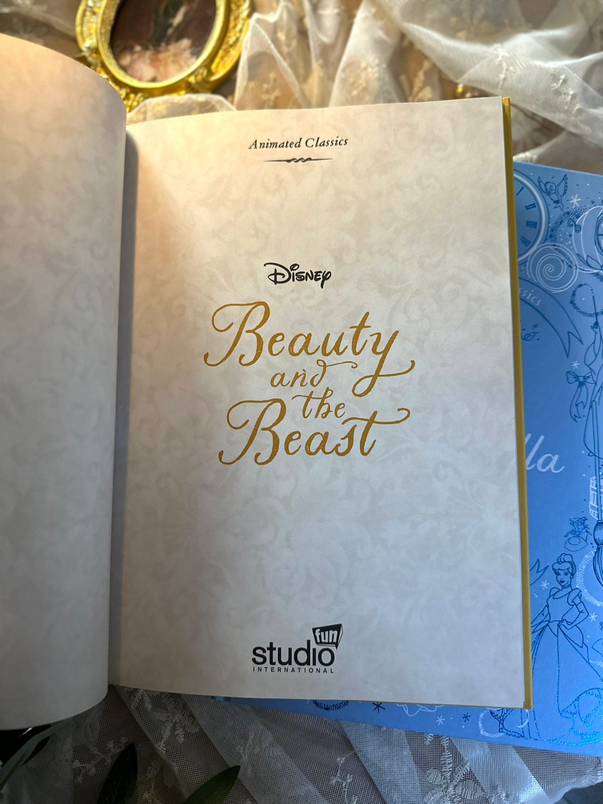 Dinsey The Beauty and The Beast Book, Illustrated Hardcover