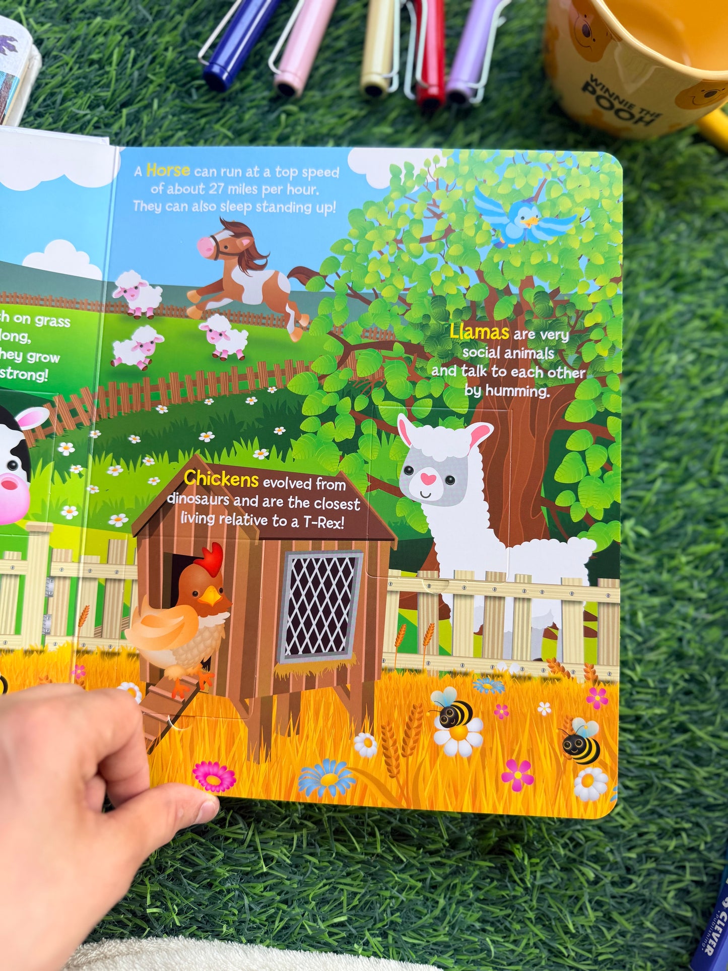 Learn About Animals - Lift the Flap Activity Kids Books - Childrens Books, Toddler Books