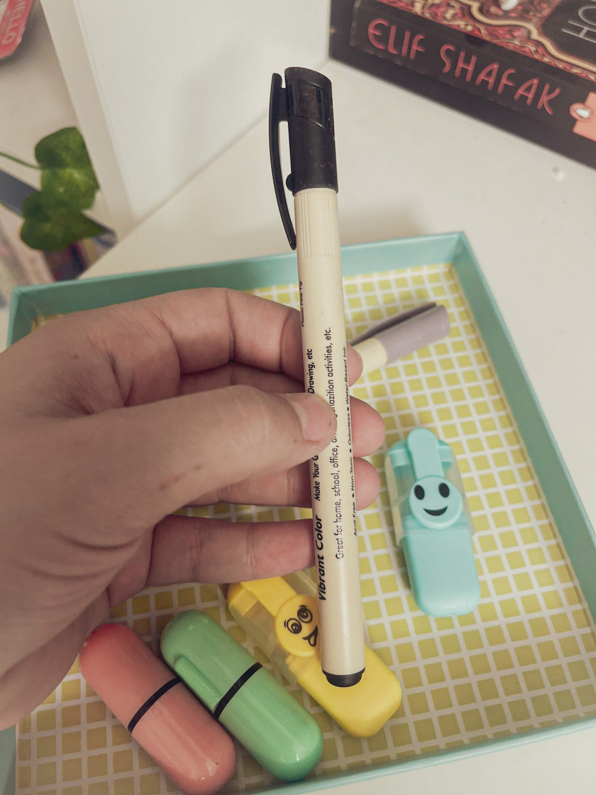 Cute Highlighters + Markers Package