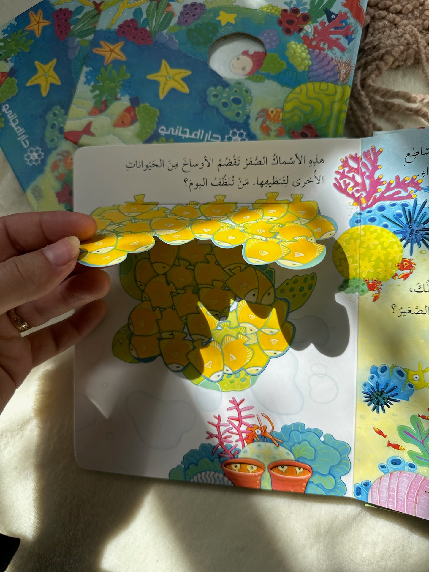 اكتشف داخل البحر ؛ كتاب تفاعلي مع طيّات مختلفة