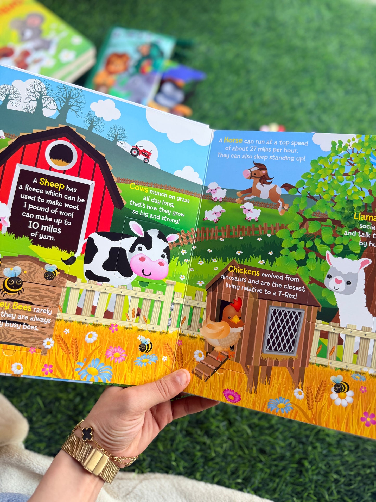 Learn About Animals - Lift the Flap Activity Kids Books - Childrens Books, Toddler Books