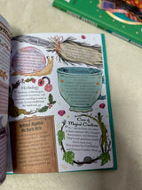 Pocket Potters: Hermione Granger (Little Guides to the Harry Potter Books #2)