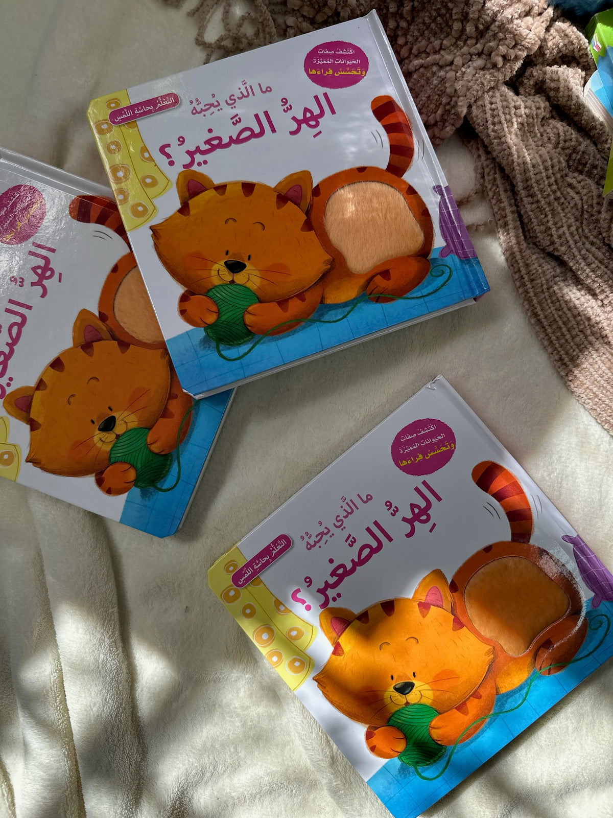 ما الذي يحبه البطة الصغيرة ؛ التعلم بحاسة اللمس