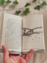Little Prince (Pocket Edition)