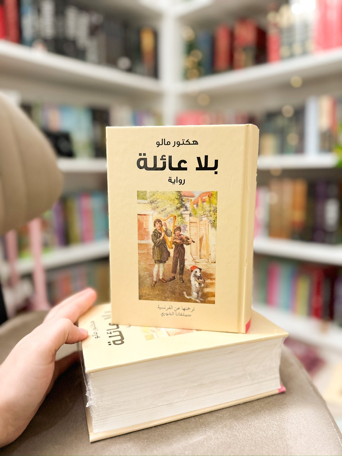بلا عائلة ( ريمي ) ؛ هيكتور مالو Hardcover
